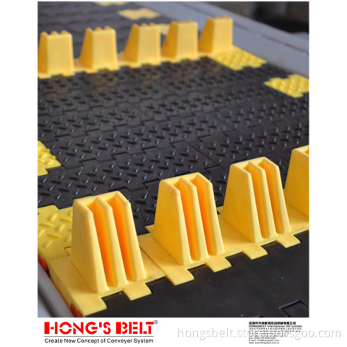 The Car Industry Modular Belt with Pusher (HS-1800D)